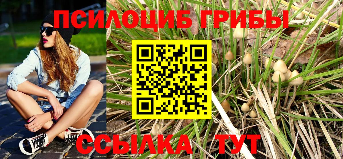 Псилоцибиновые грибы MAGIC MUSHROOMS Вязьма