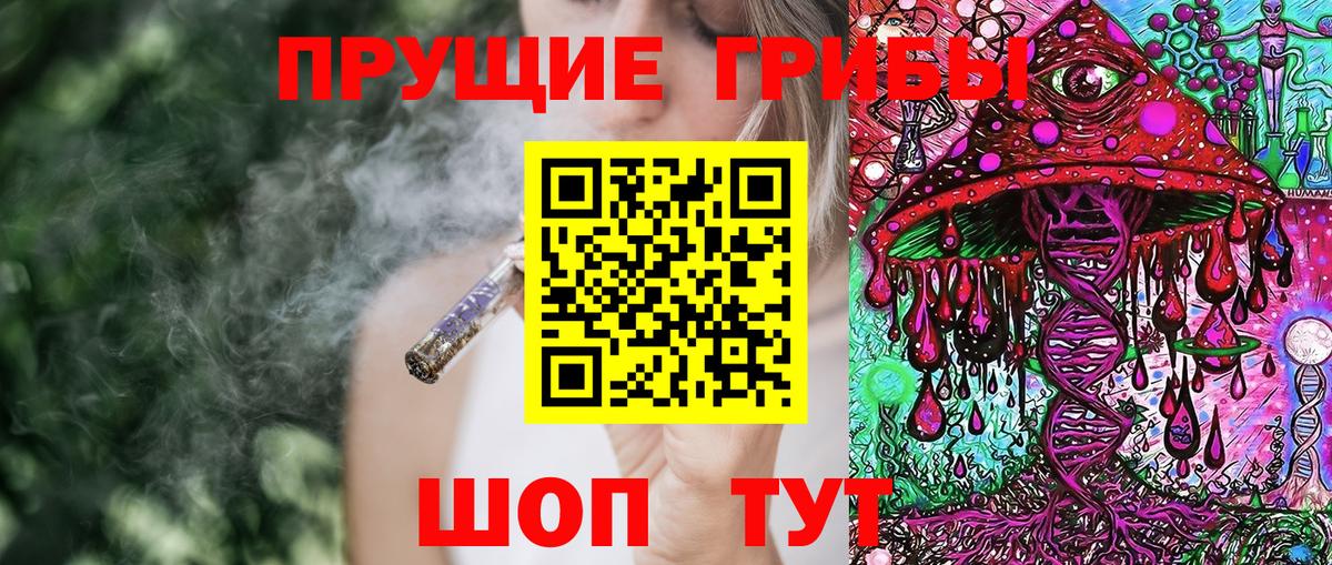 Вязьма  Псилоцибиновые грибы GOLDEN TEACHER  Вход с VPN 